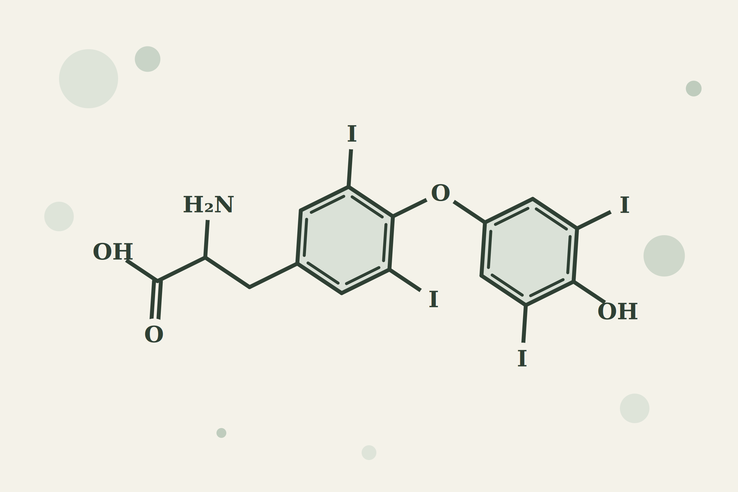 Thyroid hormone molecular structure